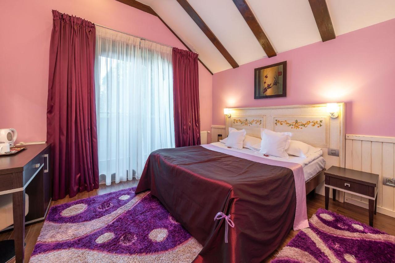 Hotel Casa Freya à Buşteni Extérieur photo