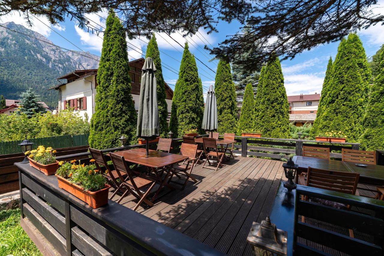 Hotel Casa Freya à Buşteni Extérieur photo