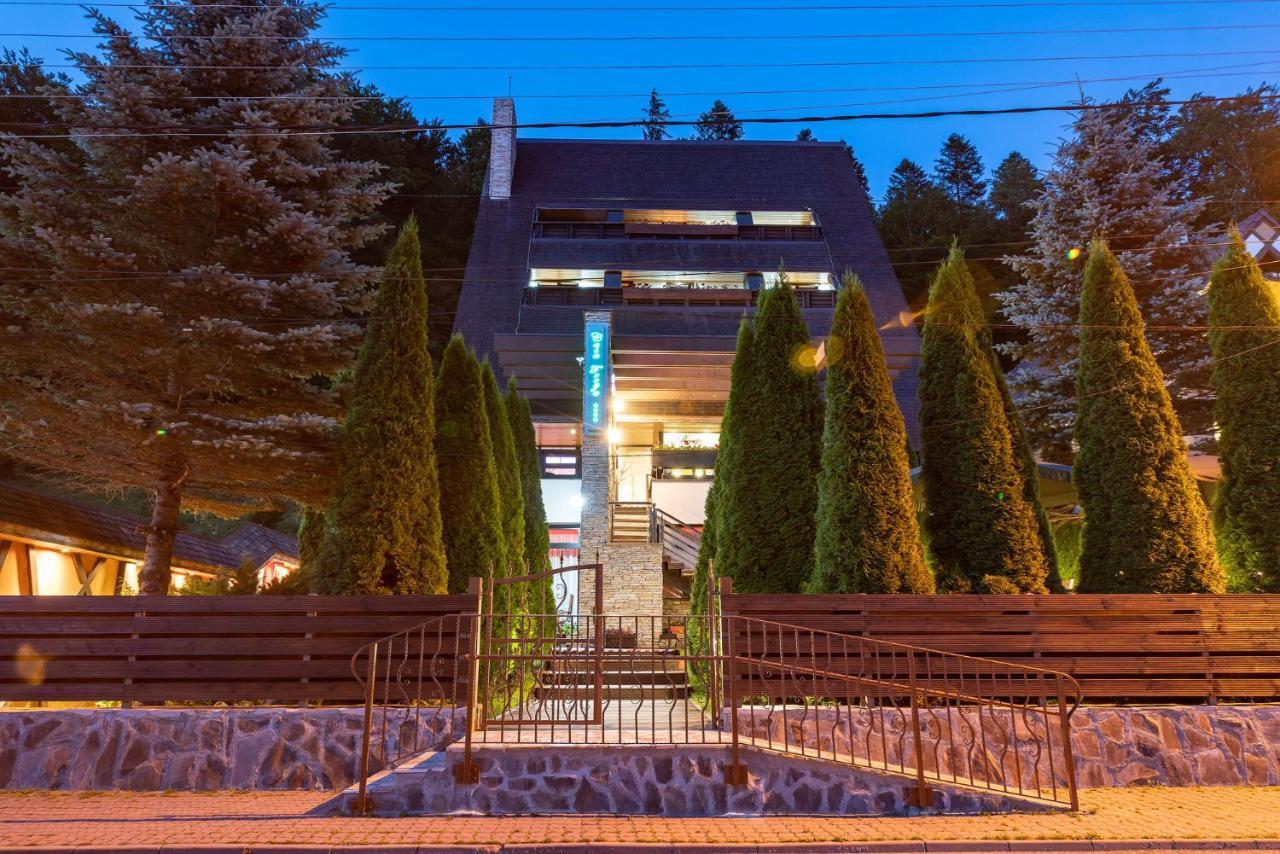 Hotel Casa Freya à Buşteni Extérieur photo
